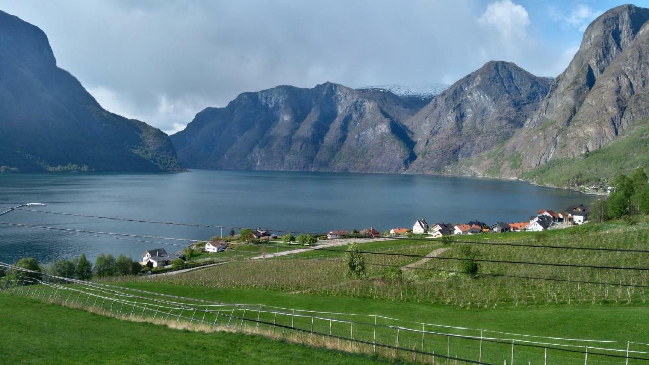 Winjum Cabin Aurland Stegasteinヴィラ エクステリア 写真